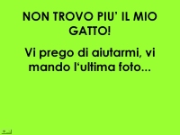 Non lo trovo pi, dove sar finito???